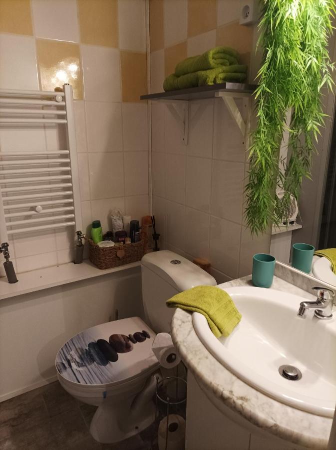 Le Cocon De Sausheim Apartment ภายนอก รูปภาพ